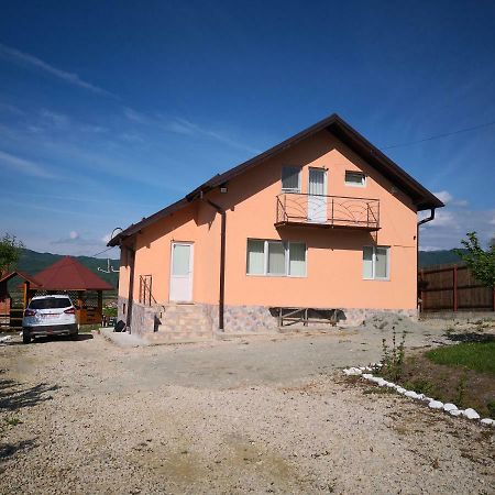 Casa De Vacanta Laurentiu Calimanesti Ngoại thất bức ảnh