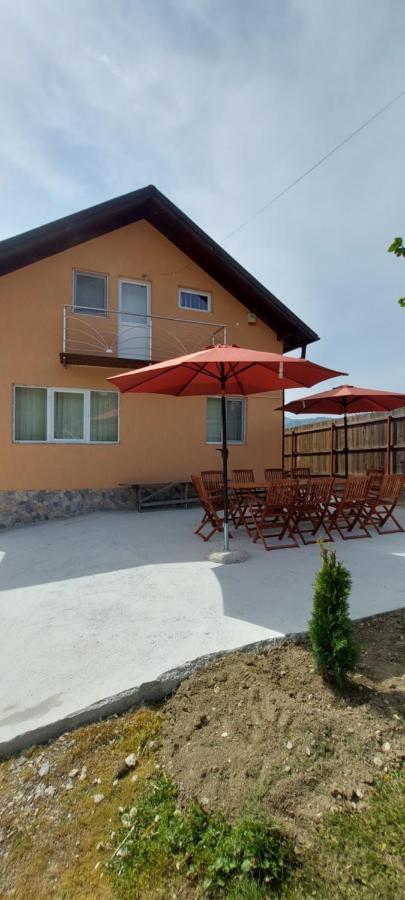 Casa De Vacanta Laurentiu Calimanesti Ngoại thất bức ảnh