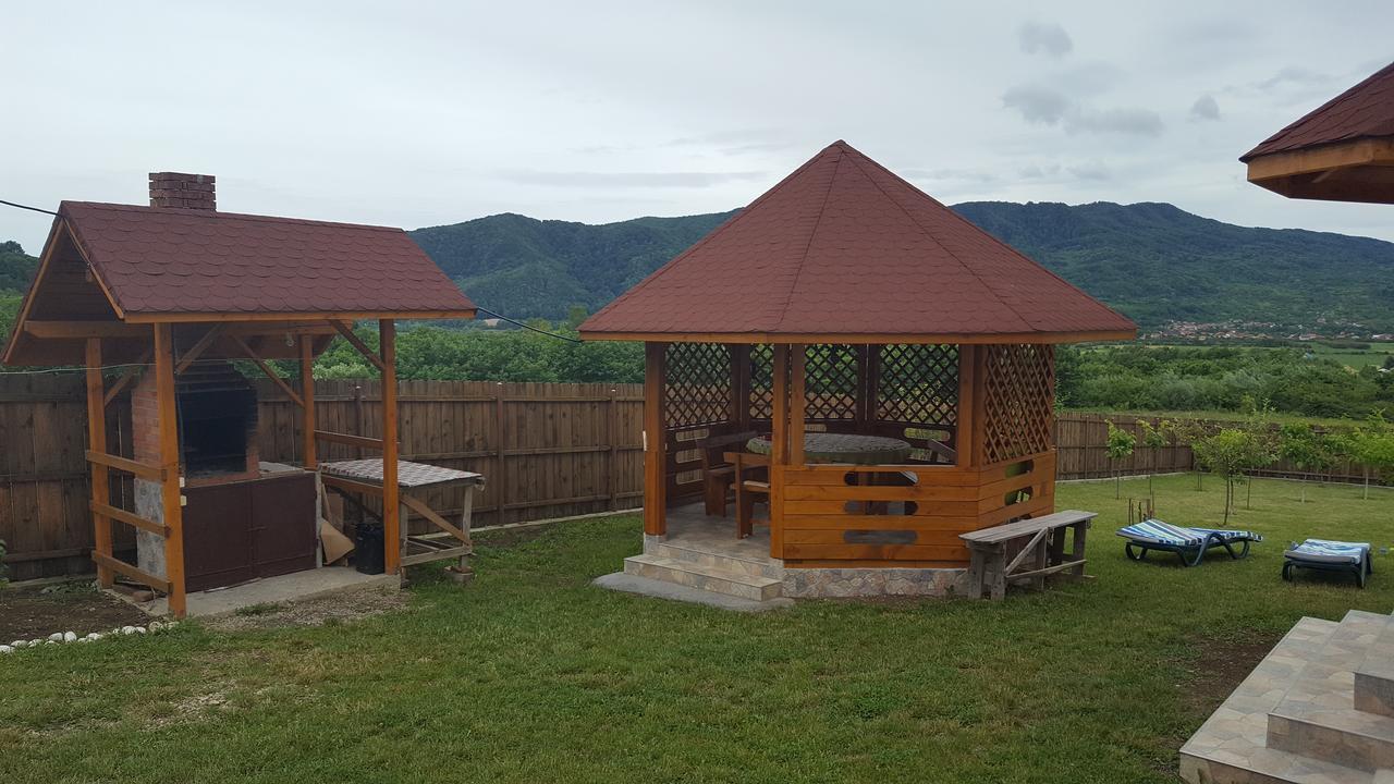 Casa De Vacanta Laurentiu Calimanesti Ngoại thất bức ảnh