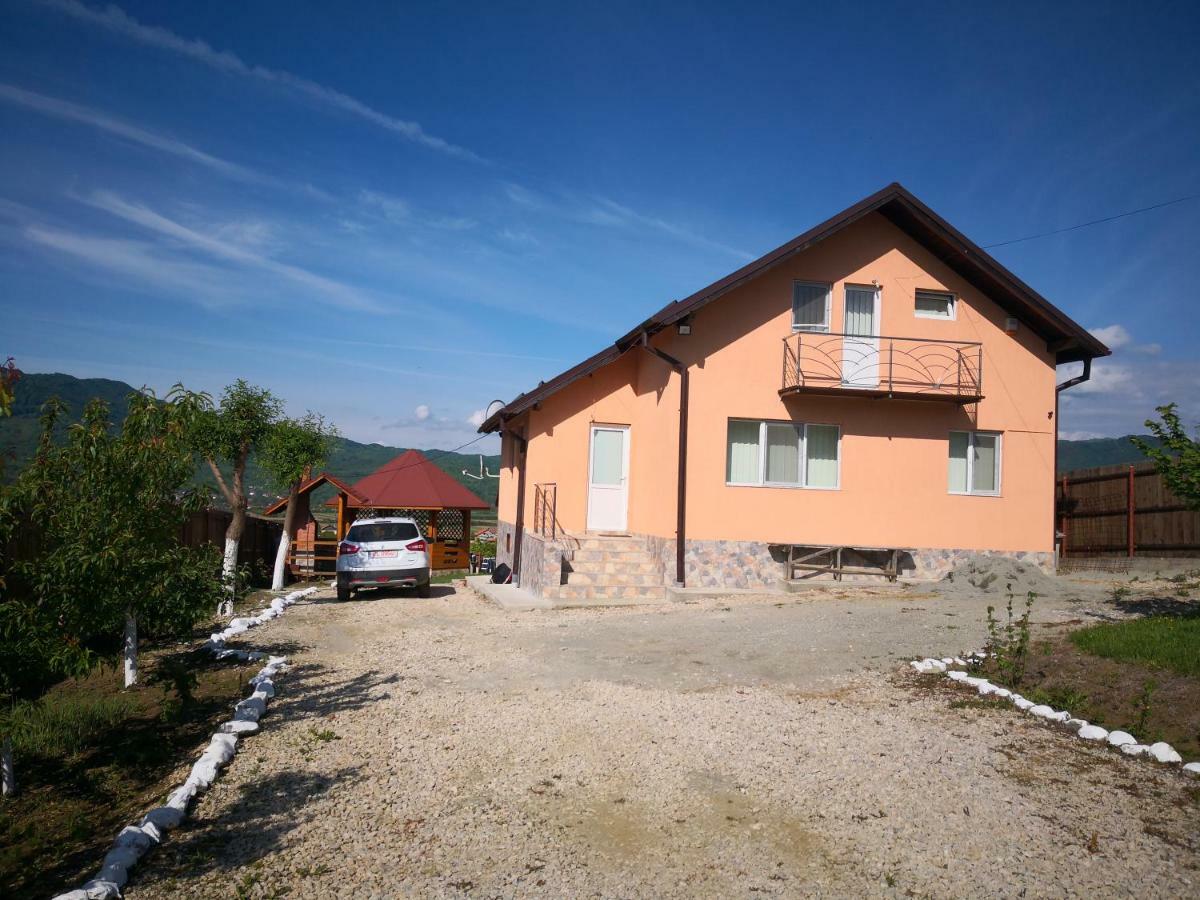 Casa De Vacanta Laurentiu Calimanesti Ngoại thất bức ảnh